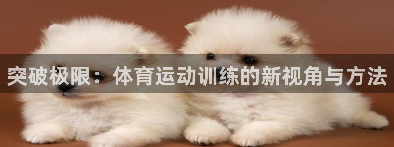 关键词