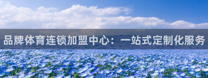 球深体育比分