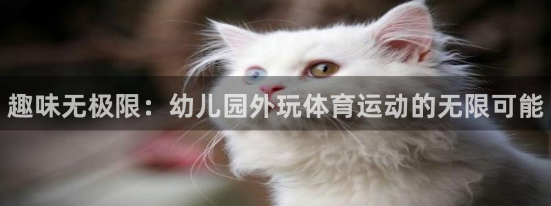 球深体育比分：趣味无极限：幼儿园外玩体育运动的无限可能