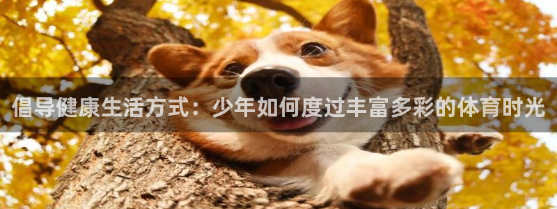 球深体育比分：倡导健康生活方式：少年如何度过丰富多彩的体育时光