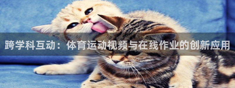 球深体育比分：跨学科互动：体育运动视频与在线作业的创新应用