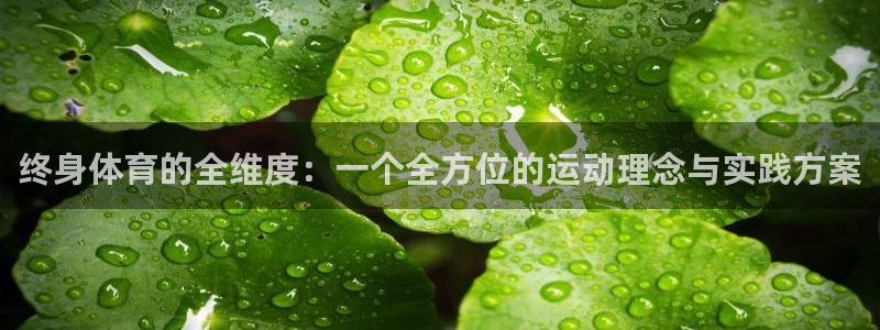 关键词